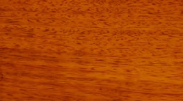 ���X���Ԕ����B