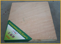 ��ľ�����Ԕ����B