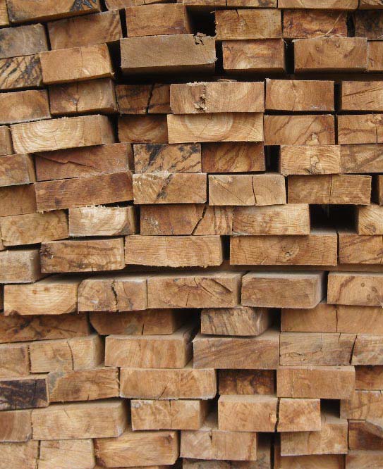 ������ľ��Ԕ����B