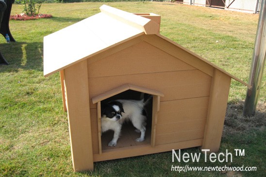 �c���鿴�����ݷŴ�DƬ