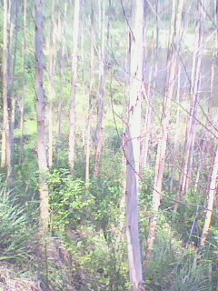 �c���鿴���Ŵ�DƬ