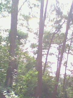 �c���鿴ɼľ�Ŵ�DƬ