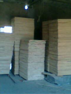 �c���鿴ɼľ�T�n��Ŵ�DƬ