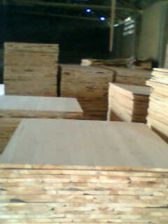 �c���鿴�Ҿ�ƴ��Ŵ�DƬ