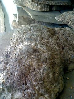 �c(di��n)���鿴ɽ�������Ŵ�DƬ