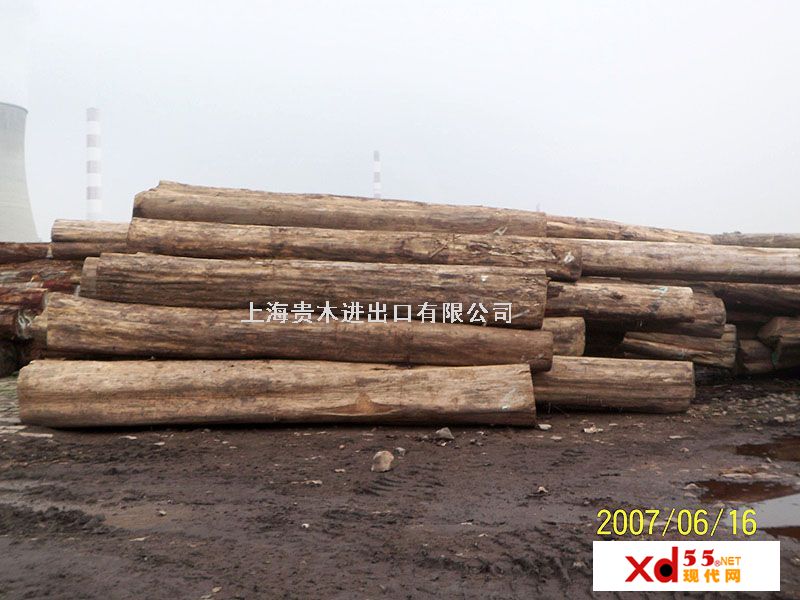 �c(di��n)���鿴��ľԭľ�Ŵ�DƬ