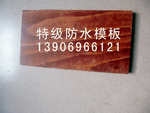 �c���鿴������ľģ��Ŵ�DƬ