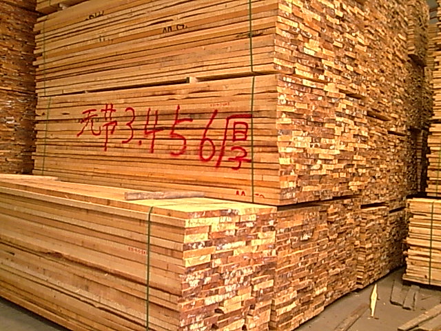 �����ɟo��(ji��)��ĵ�Ԕ��(x��)��B