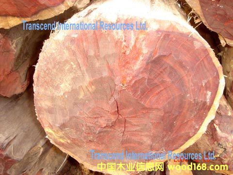 ����С�~��̴ԭľ��Ԕ��(x��)��B