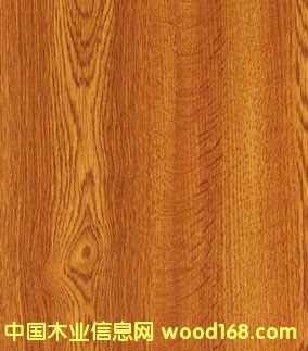 �c���鿴��ľ��ľ�ذ�Ŵ�DƬ