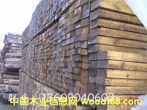 ���~��ľ�� �|����ľ�� ��ľ����Ԕ��(x��)��B