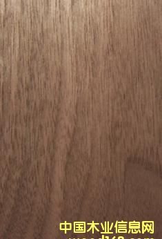 �ں���ľƤ��Ԕ��(x��)��B