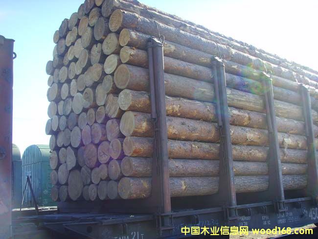 ����2��Ԕ��(x��)��B