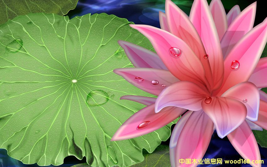 �c(di��n)���鿴��������Ŵ�DƬ