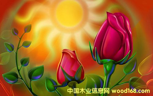 �c(di��n)���鿴������Ŵ�DƬ