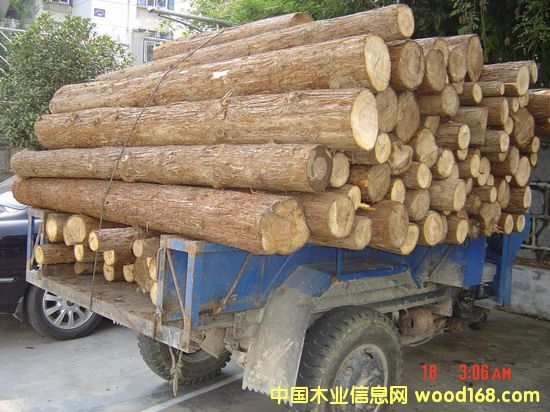 �c(di��n)���鿴��ϲķŴ�DƬ