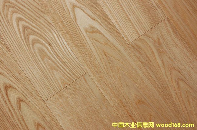 �c(di��n)���鿴��ľ��Ŵ�DƬ