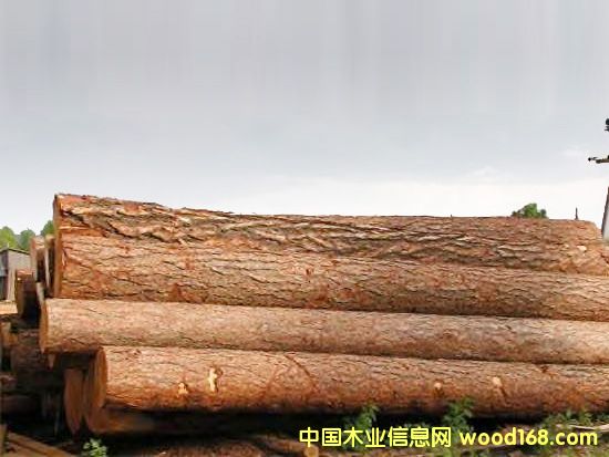 �c(di��n)���鿴���~�ɷŴ�DƬ