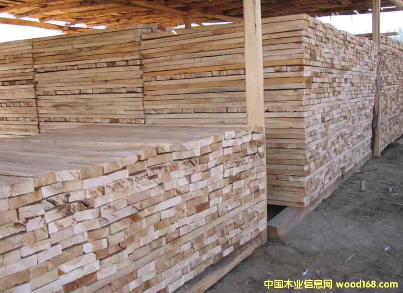 �c(di��n)���鿴��ľ��Ŵ�DƬ