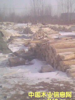 �c���鿴��ľľƤ�Ŵ�DƬ