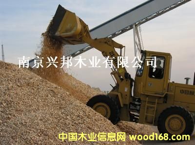 �c(di��n)���鿴�ľмľ�K�Ŵ�DƬ