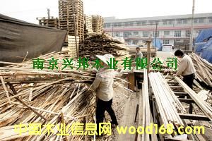 �c(di��n)���鿴ľ�K�Ŵ�DƬ