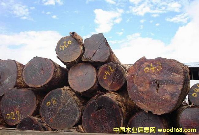 �c���鿴������ľ�Ŵ�DƬ