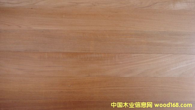 �c���鿴��ľ�ذ�Ŵ�DƬ