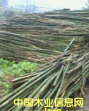 �c���鿴ԭ��Ŵ�DƬ