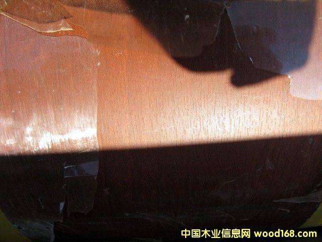 �c(di��n)���鿴ľ�yĤ�Ŵ�DƬ