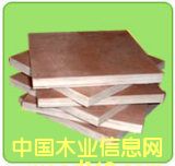 �c���鿴plywood�Ŵ�DƬ