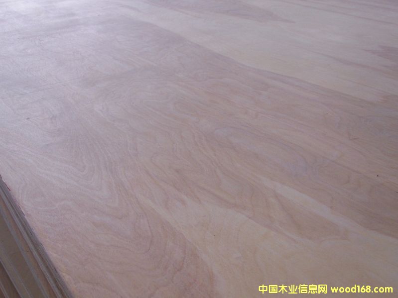 �c���鿴���Ӱ�4�Ŵ�DƬ