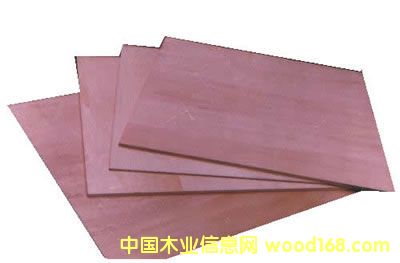 �c���鿴��������1�Ŵ�DƬ