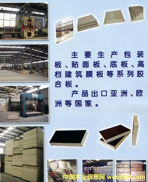 �c(di��n)���鿴������Ĥ�壨��ľо���Ŵ�DƬ