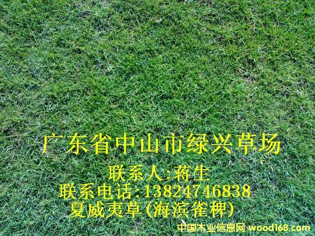 �����Ĳ�