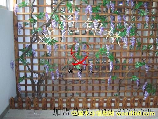 ̼��ľ���L(f��ng)��Ԕ��(x��)��B