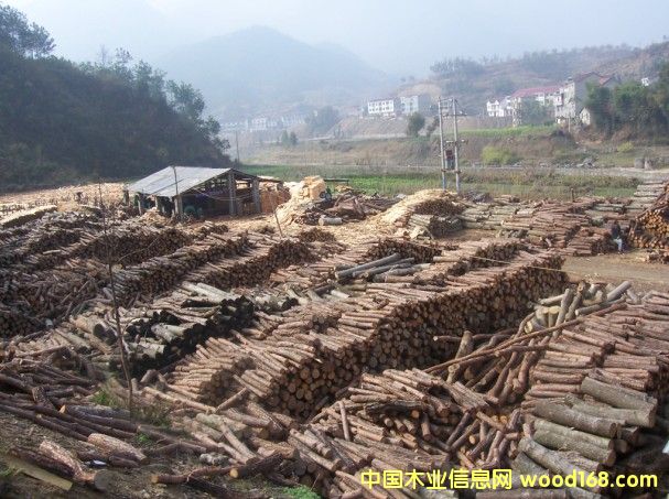 ԭľ��Ԕ��(x��)��B