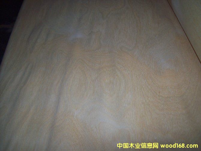 �ט���ƤB��Ԕ����B