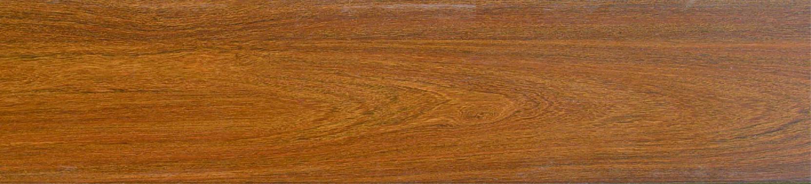 ����K9905��Ԕ����B