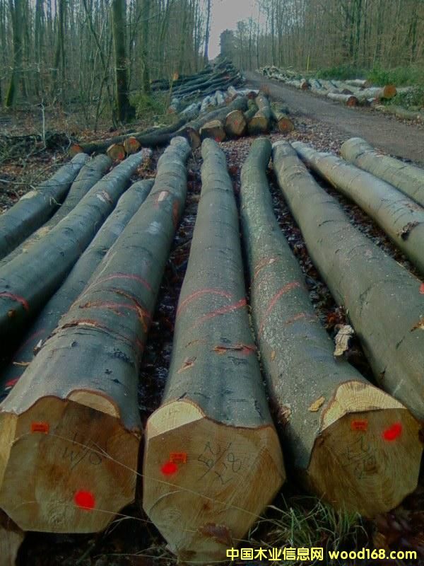 ��ľ�Aľ��Ԕ����B