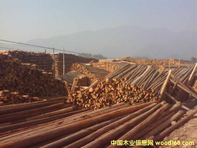 ɼľ��Ԕ��(x��)��B