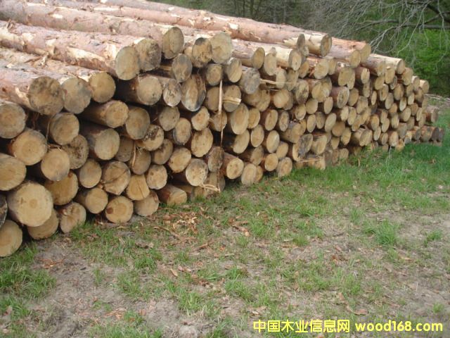 �c���鿴��ɼ�Ŵ�DƬ