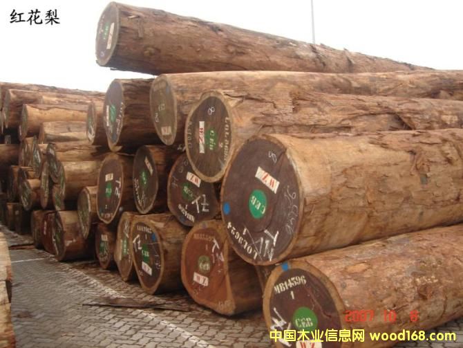 �c(di��n)���鿴�t����Ŵ�DƬ