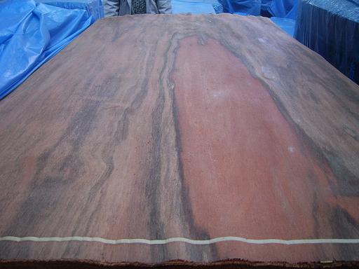 0.5�����һ�о��Ԕ��(x��)��B