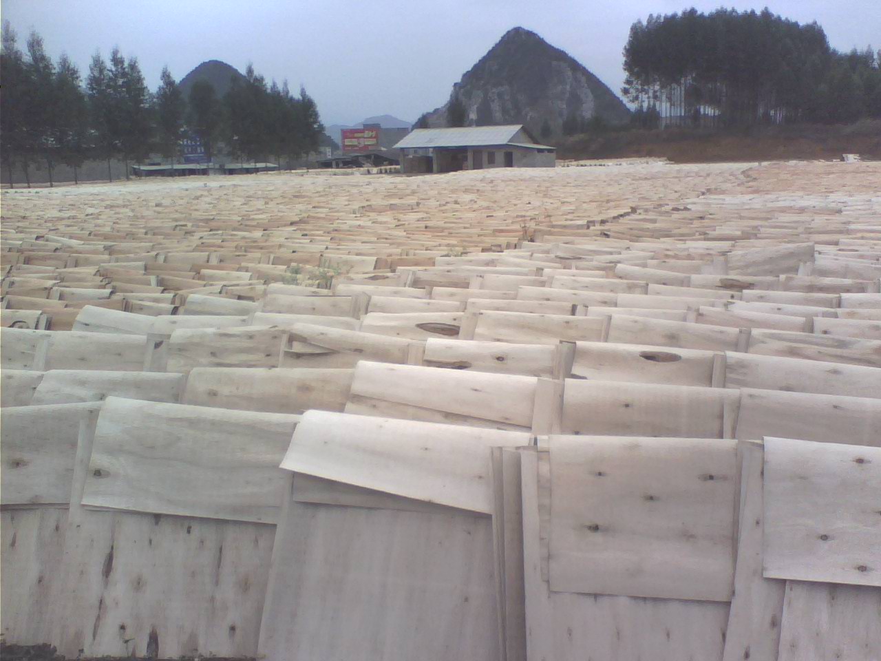 ��ľ�ΰ��Ԕ��(x��)��B