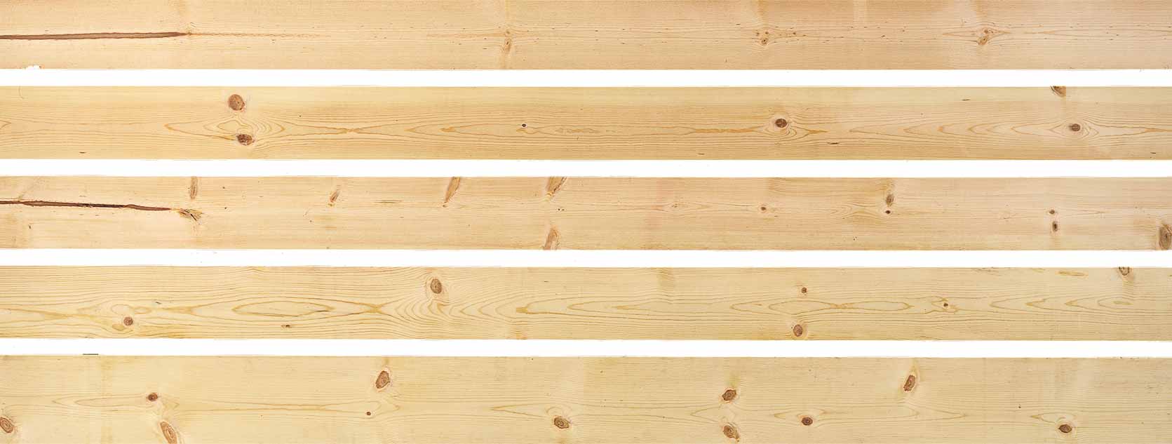 �c���鿴Ponderosa pine�Ŵ�DƬ