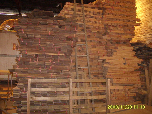 ��������ľ��Ԕ����B