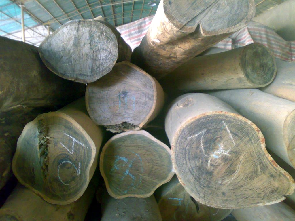 �c(di��n)���鿴�G̴��Ŵ�DƬ