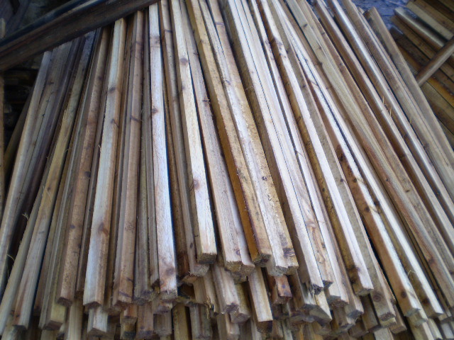 ɼľ�l��Ԕ��(x��)��B