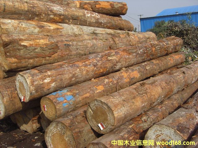 ݗ���ɵ�Ԕ��(x��)��B